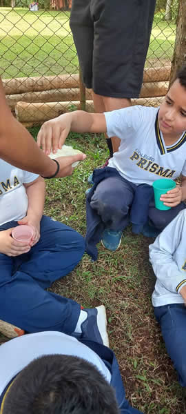 Bicho Mania 2022